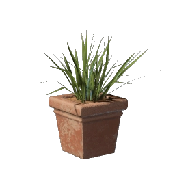 Grass Pot