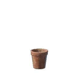 Empty Flower Pot