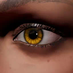 color-orange