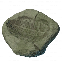 Trilobite Imprint