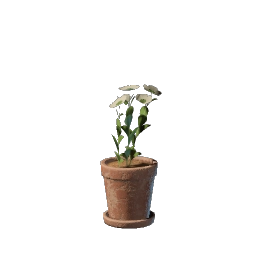 하얀색 꽃 화분