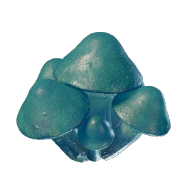 蔚藍紅菇幼苗