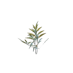 Проросток цветка из Хворостовых пустошей