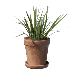 Grass Pot